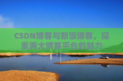 CSDN博客与新浪博客,探索两大博客平台的魅力